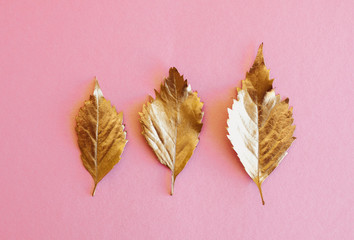 Wall Mural - Golden autumn leaves against pink background. Minimal flat lay, top view.