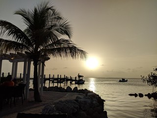 Sticker - the silhouette of palm trees at sunset by the bay