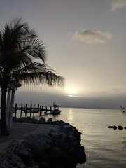 Poster - the silhouette of palm trees at sunset by the bay