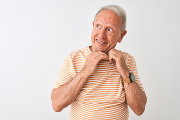 Poster - Senior grey-haired man wearing striped t-shirt standing over isolated white background laughing nervous and excited with hands on chin looking to the side