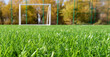 Soccer field green artificial grass blurred background into the distance.