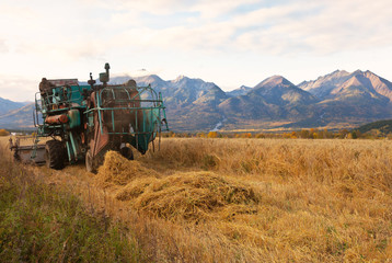 Wall Mural - Harvesting oats with a combine in the Siberian foothills of the Tunka Valley against the backdrop of the East Sayan Mountains at sunset. Autumn rural landscape