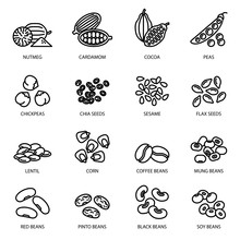 Nuts, Beans And Seeds Line Icon Set With White Background. Food Symbols Collection.