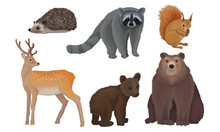 Wild Forest Habitants Drawn In Realistic Manner Vector Illustrations
