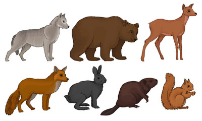 Wall Mural - wild forest habitants drawn in realistic manner vector illustrations