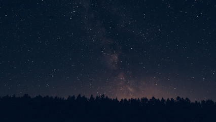 milky way in the forest landscape affect the viewer's imagination, dense virgin forests on the slope