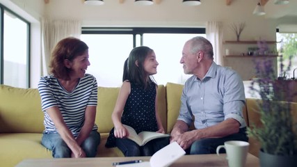 Wall Mural - A small girl with senior grandparents indoors sitting on sofa, reading a book.