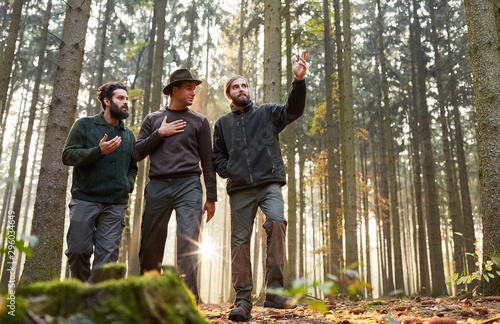 Fotomural Drei Förster bei Ausbildung im Wald
