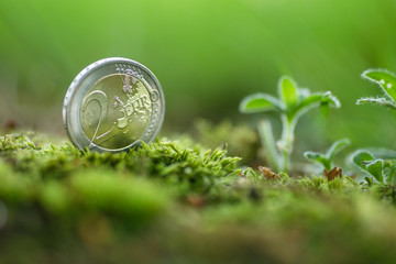 two 2 euro coin in nature with little plant - green money