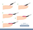 How to paint nails perfectly. Side View. Tips and Tricks. Manicure Guide. Vector illustration
