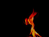 Fototapeta  - Fire flames on black background