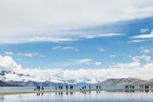 LEH LADAKH, INDIA - JUN19, 2018: Tourist Travel To See The High Mountain With White Cloud And Blue Sky On The Pagong Lake, Leh Ladakh, India