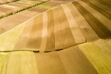 Canvas Print - farmland texture background in autumn