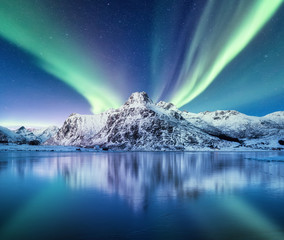 Canvas Print - Aurora Borealis, Lofoten islands, Norway. Nothen light and reflection on the lake surface. Winter landscape at the night time. Norway travel - image