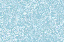Winter Holidays Background With Pine Branches And Snowflakes. Winter Card Design.