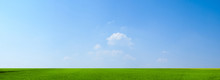 Sky And Green Field Background Panorama