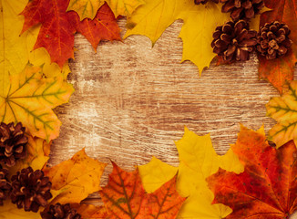 Wall Mural - fall season colorful background with maple leafs and pine cones over scratched wood