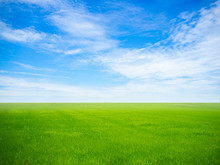 Empty Green Grass Field With Blue Sky And White Clouds In The Gardening And Landscape Shot Photo Use For Design Display Product Background Concept.
