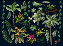 Jungle Trees And Flowers Isolated. Vector.