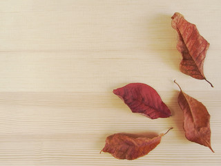 Wall Mural - Autumn leaves on a light wooden background. Copy space. Composition of dry colorful leaves. Beautiful dried red leaves close-up.