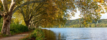 Trees And Path Along The Shoreline Of Baldeneysee Reservoir Near Essen In Germany's Ruhrgebiet In Autumn