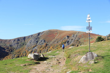 Wall Mural - Sentier de la vallée de Munster en automne (Hohneck)