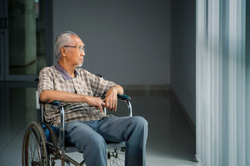 Senior man sits in the wheelchair near the window