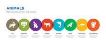 8 Colorful Animals Vector Icons Set Such As Cottonmouth, Crocodile, Crow, Dolphin, Donkey, Eagle, Elephant, Elk