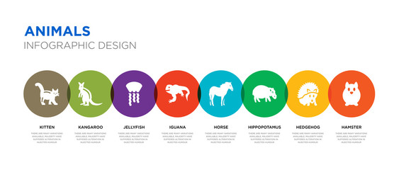 8 colorful animals vector icons set such as hamster, hedgehog, hippopotamus, horse, iguana, jellyfish, kangaroo, kitten