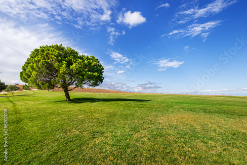 green-grass-and-trees-on-park-rural-landscape-of-green-fields-under-blue-sky-on-parque-das-nac-es-lisbon-portugal