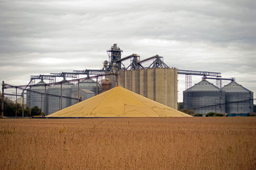 A stockpile of harvested grain in front of a grain elivator 