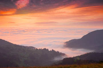 Wall Mural - mountain peaks above the clouds at sunset