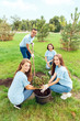 © Viktoriia - Volunteering. Young people volunteers outdoors planting together smiling cheerful teamwork