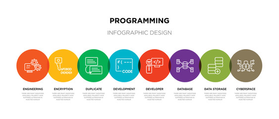 8 colorful programming outline icons set such as cyberspace, data storage, database, developer, development, duplicate, encryption, engineering