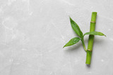 Fototapeta Sypialnia - Green bamboo stem with leaves on light background, top view. Space for text