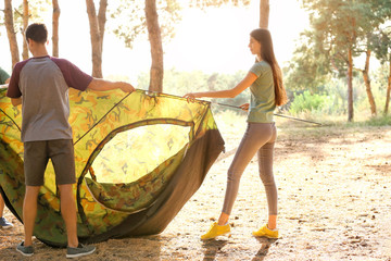 Poster - Friends putting up camping tent in forest