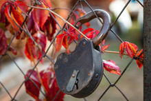 Old Padlock On The Gate
