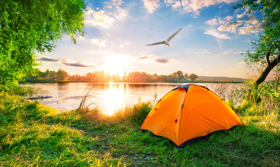 Wall Mural - orange tent on lake and seagull in sky at sunset