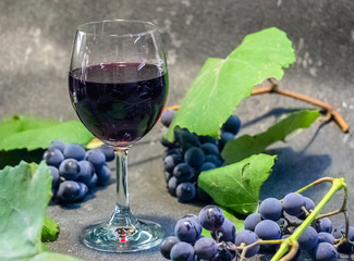 Grapes in a glass with wine on a black background. Grones of grapes with green leaves..