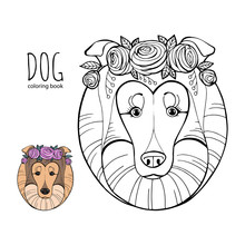 Coloring Book For Children, Dog Breeds: Collie