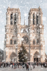 Sticker - Notre Dame cathedral in Paris, France in winter