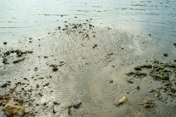 coast and sea, the northern Mediterranean, summer