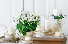 Natural, Simple Home Decoration Whit Chrysanthemum And Dahlia Flowers