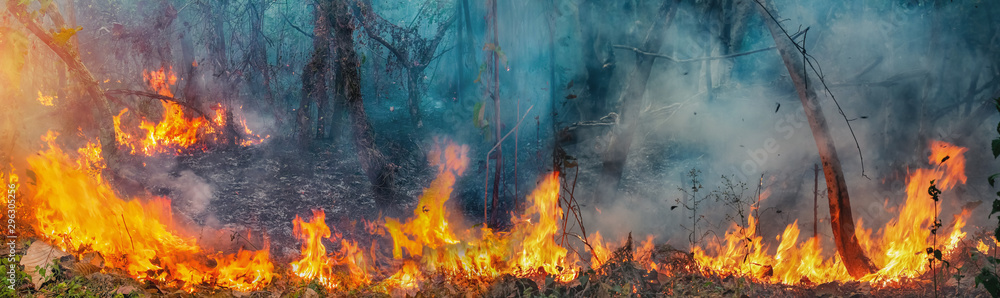 African forest fires in the Congo Basin ,Central Africa - obrazy, fototapety, plakaty 