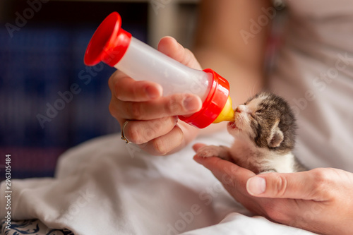 can i use a baby bottle to feed a kitten