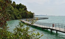 Beautiful Boardwalk On Singapore Island: Pulau Ubin Chek Jawa Boardwalk