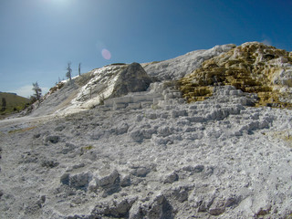 yellostone national park wyoming mammoth springs landscape