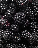 Makro czarne jeżyny z bliska