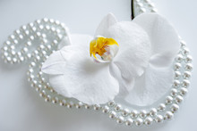 Pearl And White Orchid On A White Glas 
