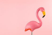 Pink Flamingo On A Pink Background
